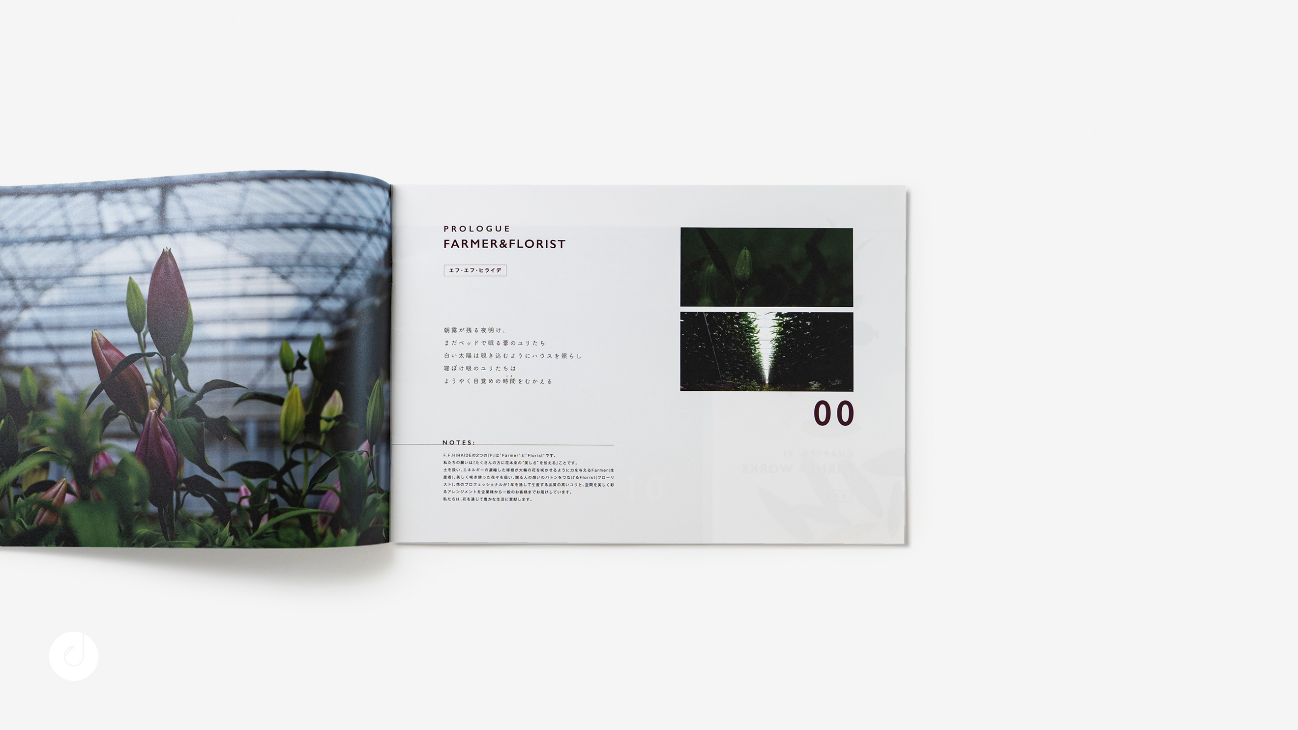 栃木県宇都宮市のブランディング・デザイン・ホームページ