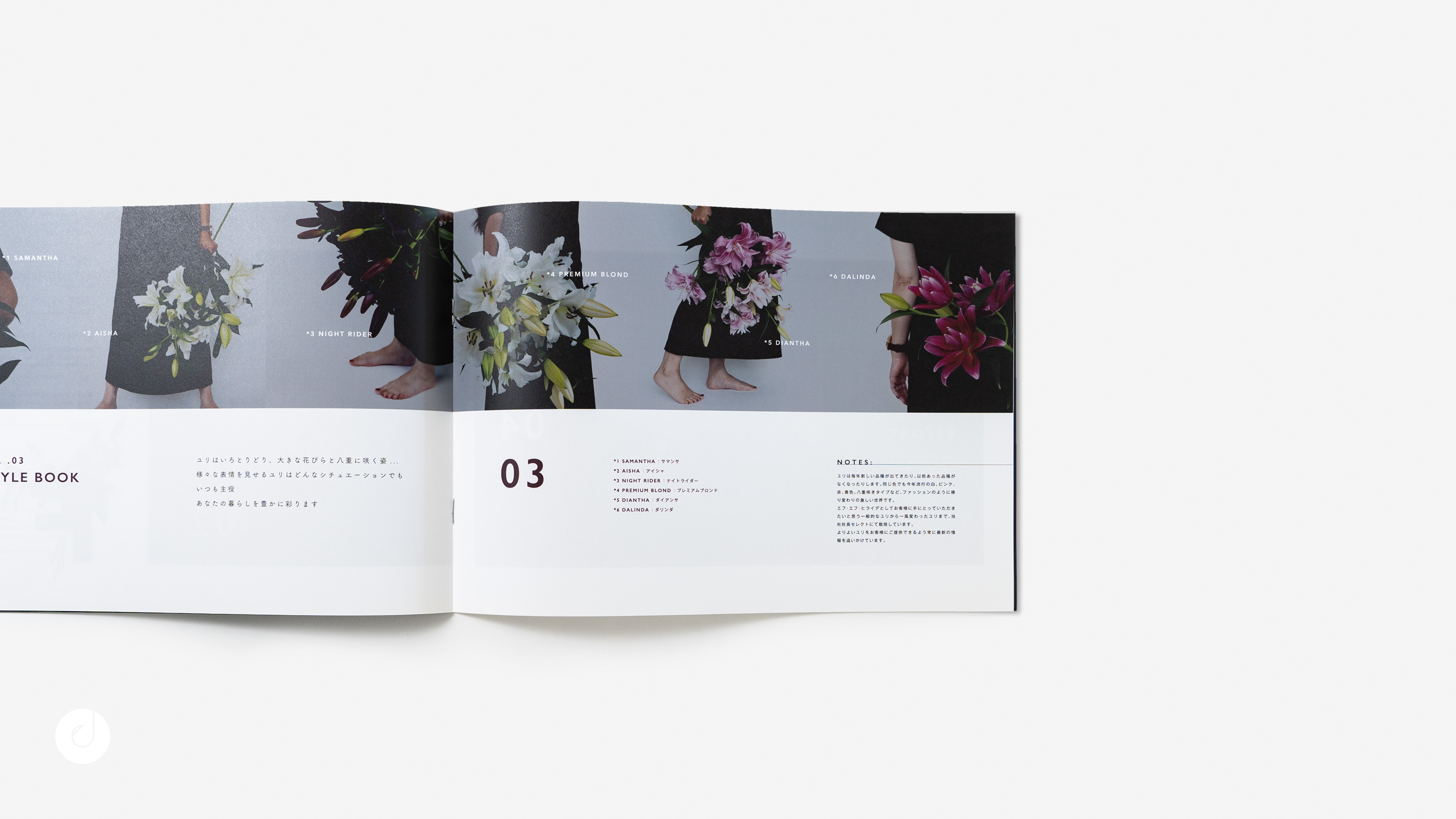 栃木県宇都宮市のブランディング・デザイン・ホームページ